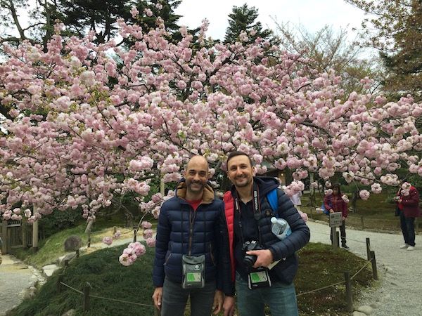 Giardino di Kenrokuen a Kanazawa selfie con albero di ciliegio