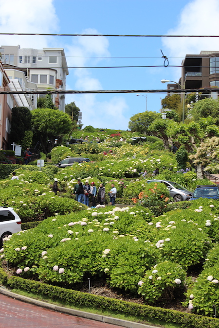 Lombard Street la strada tortuosa di San Francisco