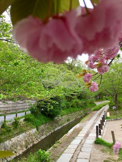 Il sentiero del filoso a Kyoto