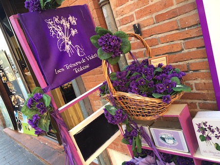 Le violette il fiore simbolo di Tolosa