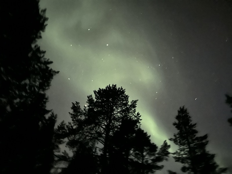 Aurora boreale tra i boschi nella zona di Inari