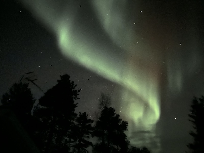 Le onde sinuose dell'aurora boreale nel bosco di Inari