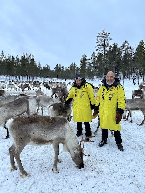 Fattoria delle renne in libertà ad Inari